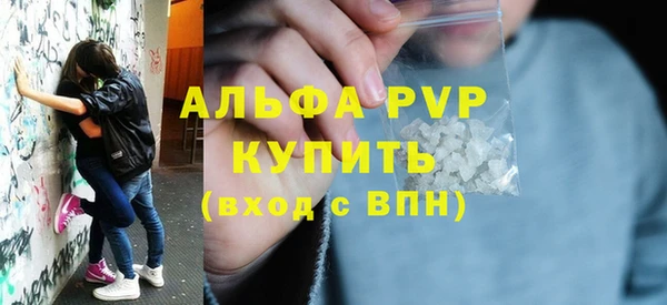 спиды Магас