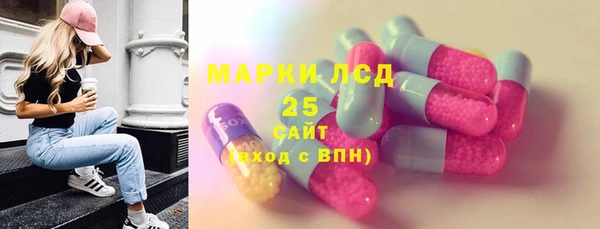 спиды Магас