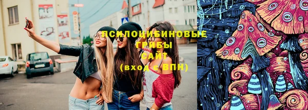 спиды Магас