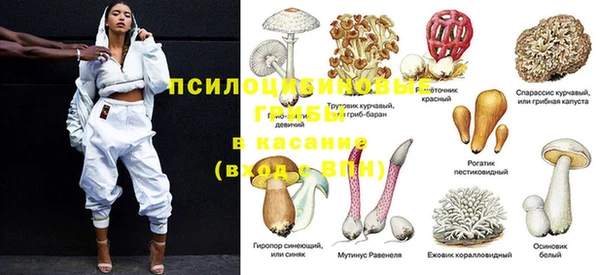 спиды Магас