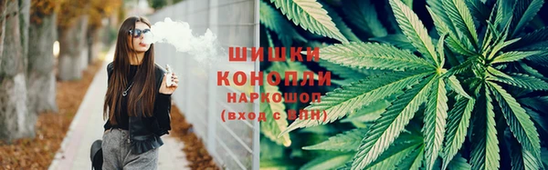 спиды Магас