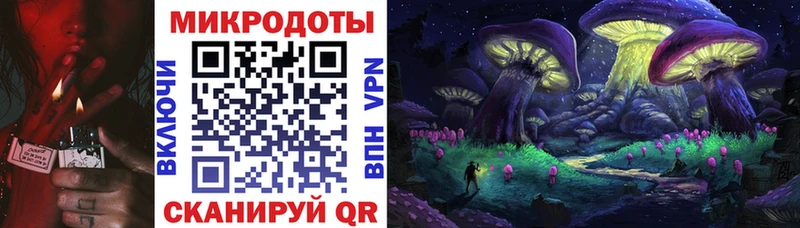 Галлюциногенные грибы прущие грибы  Купить  Гусев 