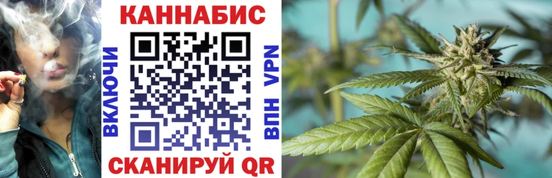 Конопля семена  Купить закладки  Гусев 
